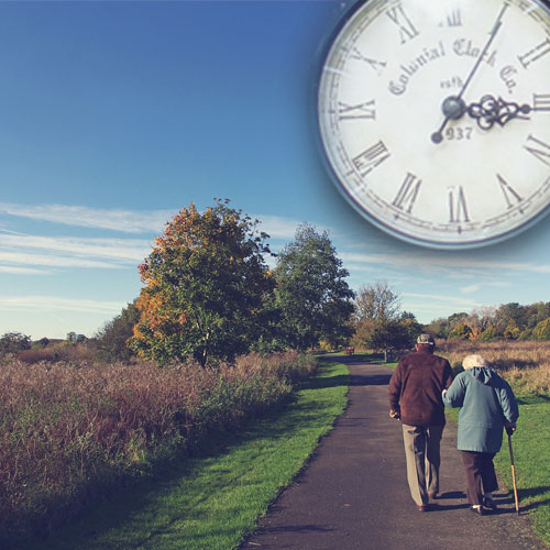 When Is the Right Time to Buy an Annuity Insurance?